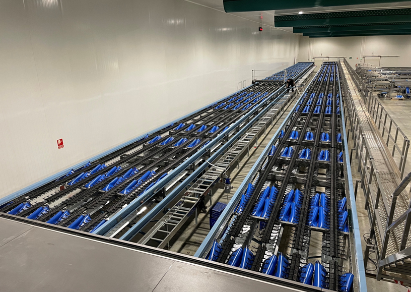 Ampliaci&oacute;n L&iacute;nea de Producci&oacute;n